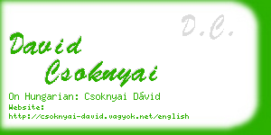 david csoknyai business card